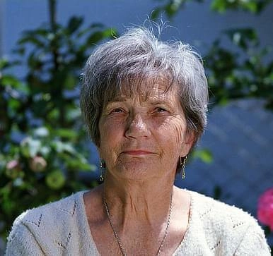 Nerve Soothe Review-3