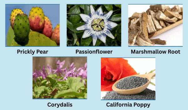 Nerve Soothe Ingredients